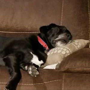 Meet your Posher, Marki